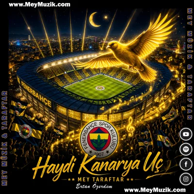 Haydi Kanarya Uç